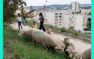 On a transhumé dans les quartiers Nord